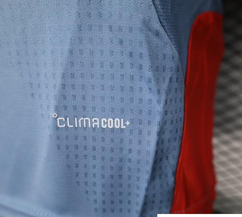 Player Version 2026 Japan World Cup Away Jersey